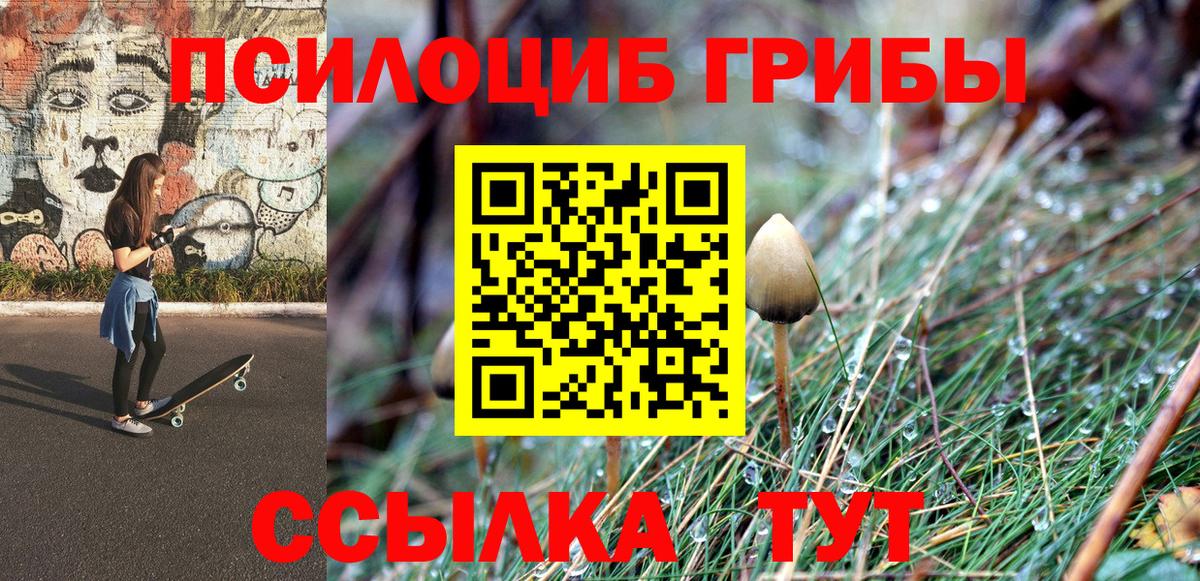 Переславль-Залесский  Галлюциногенные грибы мухоморы  Вход с VPN  Галлюциногенные грибы мухоморы 